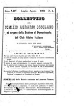 giornale/TO00178897/1891/unico/00000053