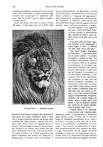 giornale/TO00178901/1916/unico/00000028