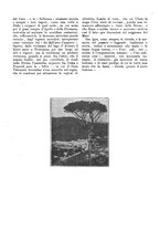 giornale/TO00178901/1925-1926/unico/00000010