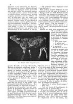 giornale/TO00178901/1929/V.1/00000242