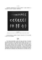 giornale/TO00178913/1939/v.3/00000021