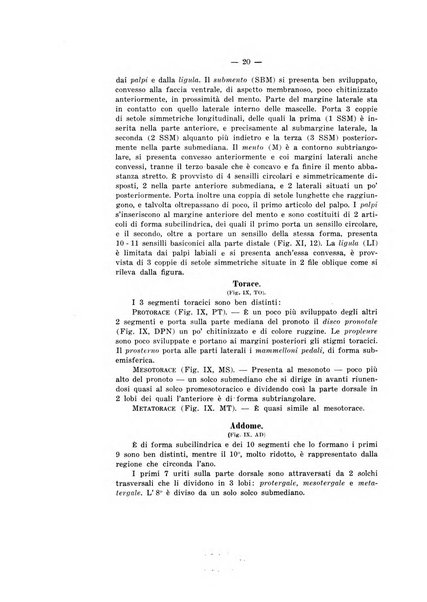 Bollettino del R. Laboratorio di entomologia agraria di Portici