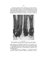 giornale/TO00178913/1939/v.3/00000034