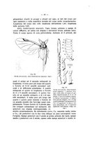 giornale/TO00178913/1939/v.3/00000049