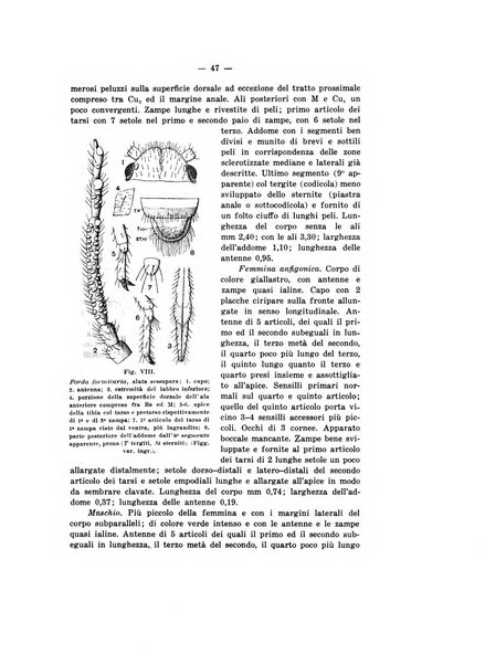 Bollettino del R. Laboratorio di entomologia agraria di Portici