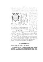 giornale/TO00178913/1939/v.3/00000072