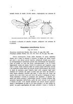 giornale/TO00178913/1939/v.3/00000073