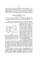 giornale/TO00178913/1939/v.3/00000083