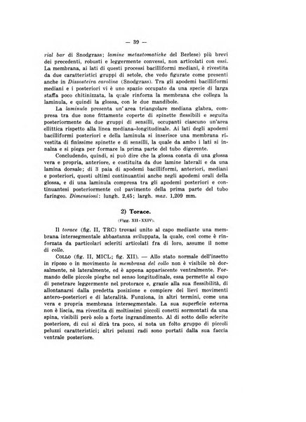 Bollettino del R. Laboratorio di entomologia agraria di Portici