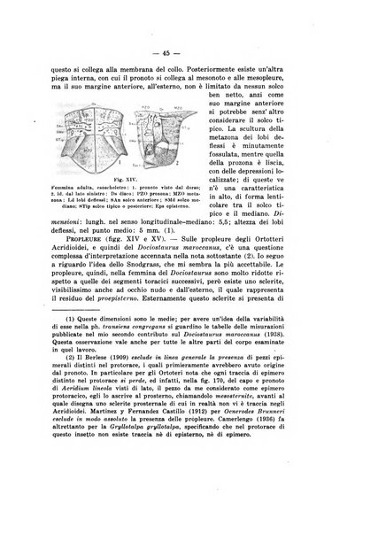 Bollettino del R. Laboratorio di entomologia agraria di Portici