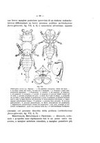 giornale/TO00178915/1921/v.15/00000065