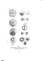 giornale/TO00178926/1928/v.21/00000077