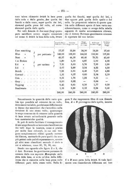 Bollettino dell'Associazione della industria laniera italiana