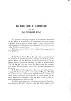 giornale/TO00179104/1908/v.24/00000033