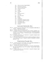 giornale/TO00179104/1908/v.24/00000048