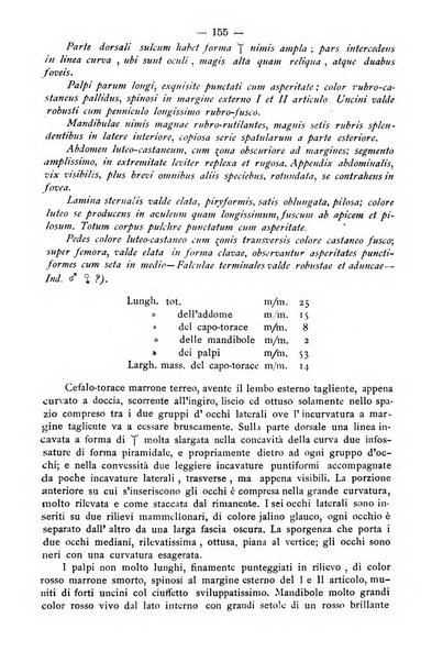 Bollettino della Società africana d'Italia periodico mensile