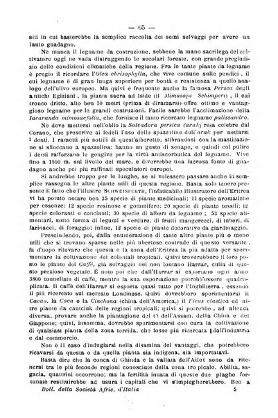 Bollettino della Società africana d'Italia periodico mensile