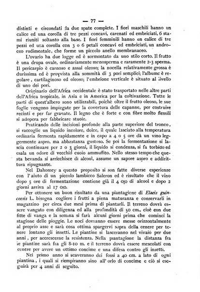 Bollettino della Società africana d'Italia periodico mensile