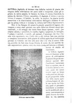 giornale/TO00179105/1905/unico/00000024