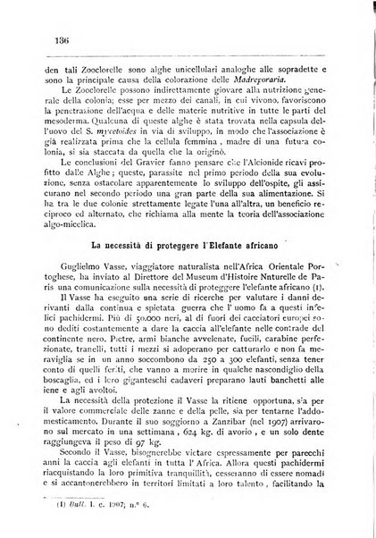 Bollettino della Società africana d'Italia periodico mensile