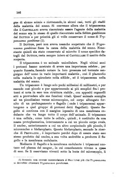 Bollettino della Società africana d'Italia periodico mensile