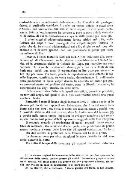 Bollettino della Società africana d'Italia periodico mensile