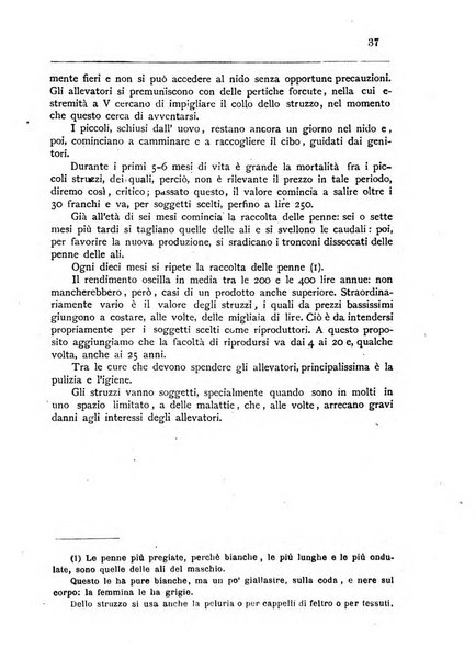 Bollettino della Società africana d'Italia periodico mensile