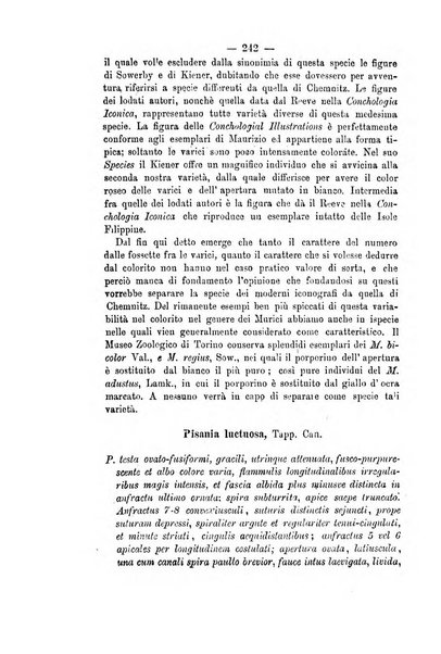 Bullettino della Societa malacologica italiana