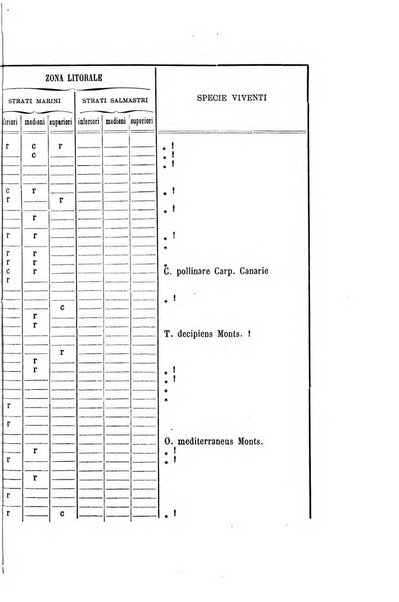 Bullettino della Societa malacologica italiana