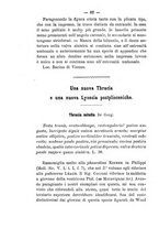 giornale/TO00179137/1883-1884/unico/00000422