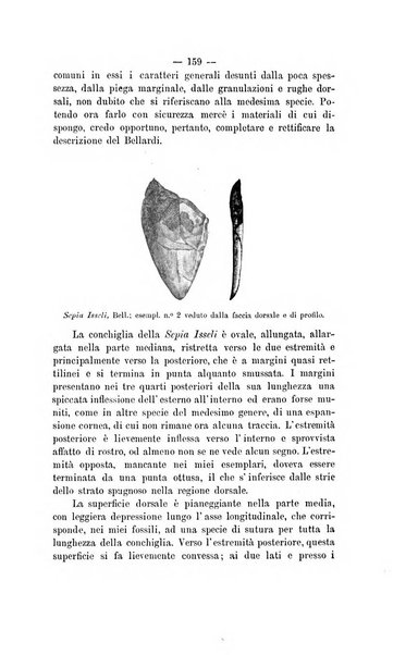 Bullettino della Societa malacologica italiana