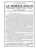 giornale/TO00179171/1917/unico/00000046