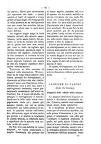 giornale/TO00179173/1893/unico/00000095