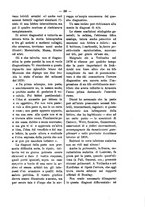 giornale/TO00179173/1897/unico/00000073