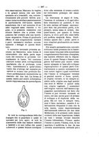 giornale/TO00179173/1907/unico/00000233