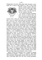 giornale/TO00179184/1884-1885/unico/00000084