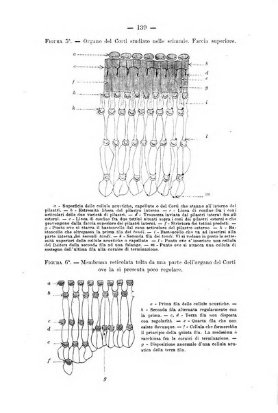 Bollettino delle malattie dell'orecchio, della gola e del naso