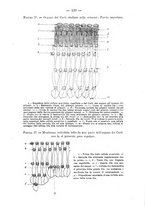 giornale/TO00179184/1884-1885/unico/00000143