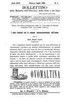 giornale/TO00179184/1928-1929/unico/00000207