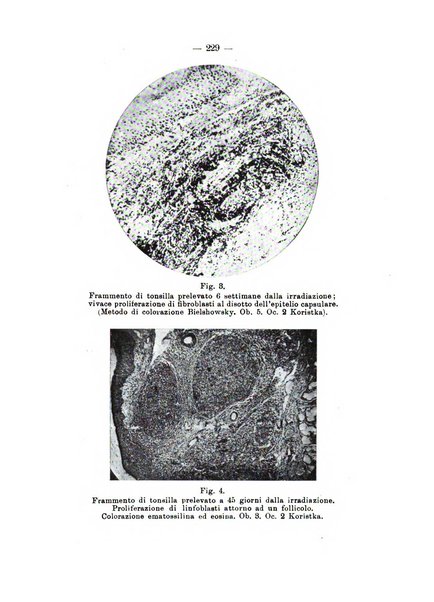 Bollettino delle malattie dell'orecchio, della gola e del naso