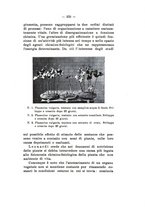 giornale/TO00179184/1933/unico/00000285