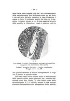 giornale/TO00179184/1933/unico/00000331