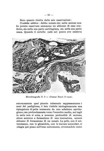 Bollettino delle malattie dell'orecchio, della gola e del naso