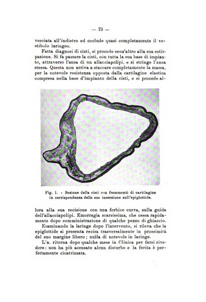 Bollettino delle malattie dell'orecchio, della gola e del naso