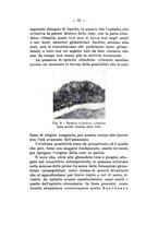 giornale/TO00179184/1934/unico/00000089