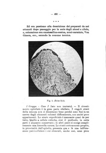 Bollettino delle malattie dell'orecchio, della gola e del naso