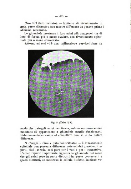 Bollettino delle malattie dell'orecchio, della gola e del naso