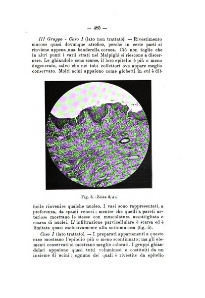 Bollettino delle malattie dell'orecchio, della gola e del naso