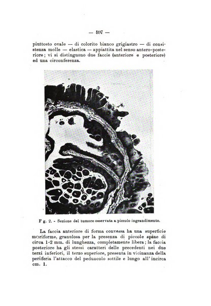 Bollettino delle malattie dell'orecchio, della gola e del naso