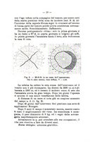 giornale/TO00179184/1935/unico/00000029